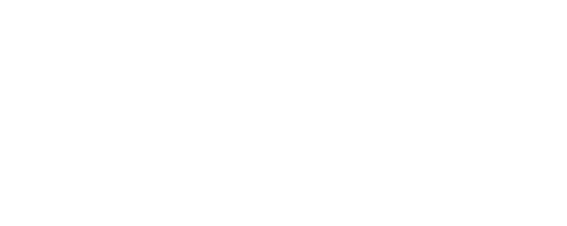 TheAudit_White_Stacked